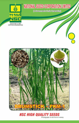 NSC Drumstick/PKM-1, (10gm)
