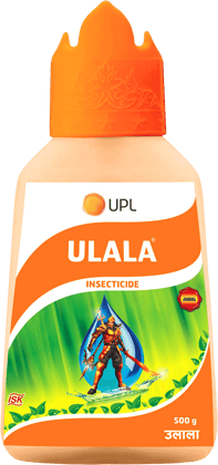 UPL ULALA UPL ULALA