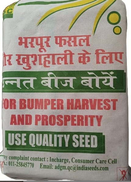 NSC Sweet Potato Bhu Krishna Variety -100 vines