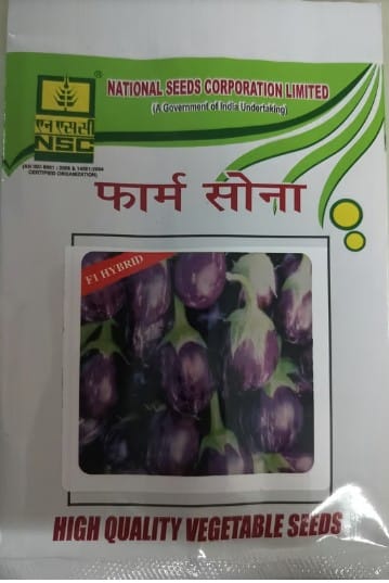 NSC Brinjal/ Kukku, 10gm