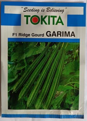 Ridge gourd seed | 10g (pack of 3)