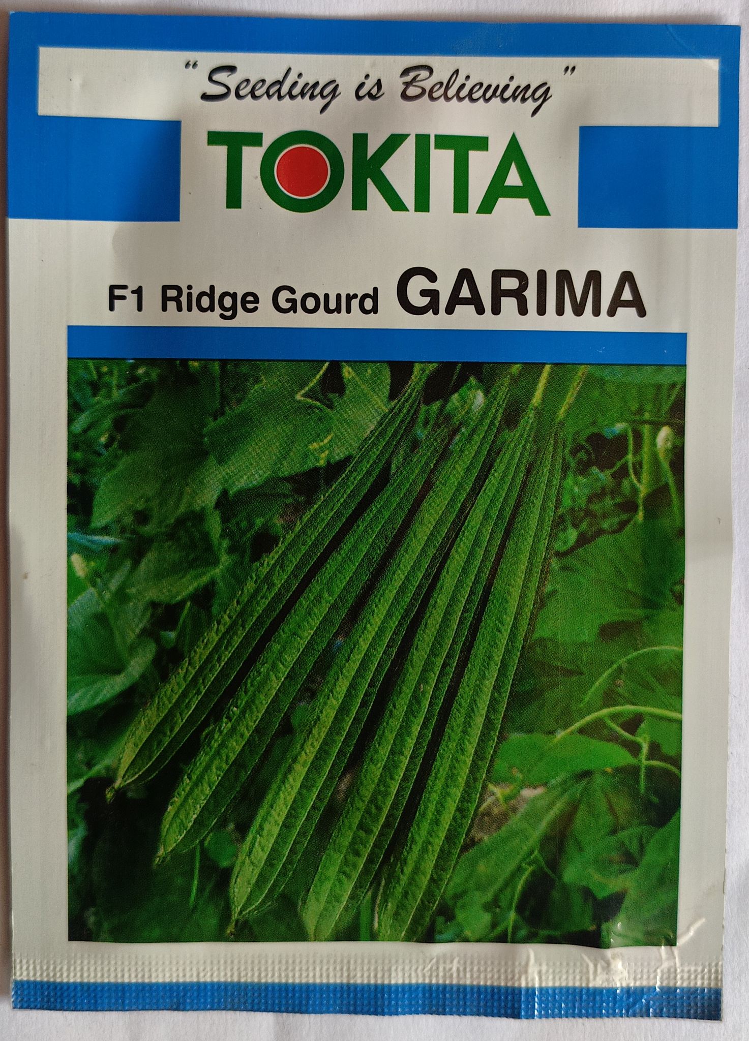 Ridge gourd seed | 10g (pack of 2)