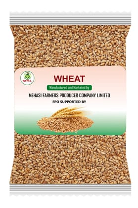 Wheat