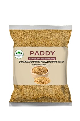 PADDY PADDY
