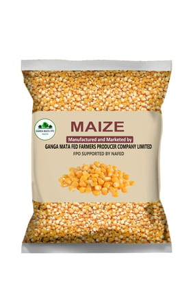 MAIZE MAIZE