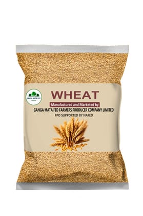 WHEAT WHEAT