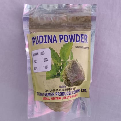 Pudina Powder Pudina Powder