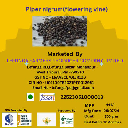 Piper nigrum(flowering vine) (pack of 2)