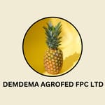 DEMDEMA AGROFED FARMERS PRODUCERS COMPANY LTD
