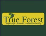 True forest True forest