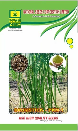 NSC Drumstick/PKM-1, (10gm)