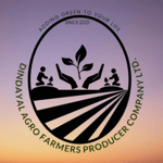 Dindayal Agro Farmers Producer Company Limited Dindayal Agro Farmers Producer Company Limited