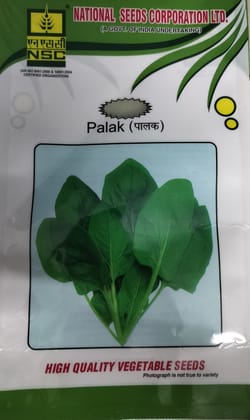 Crop: NSC Palak, Variety: ALL GREEN  100gm, TL