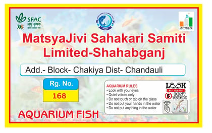 Goldfish (Coloured Aquarium Freshwater Fish) Goldfish (Coloured Aquarium Freshwater Fish)