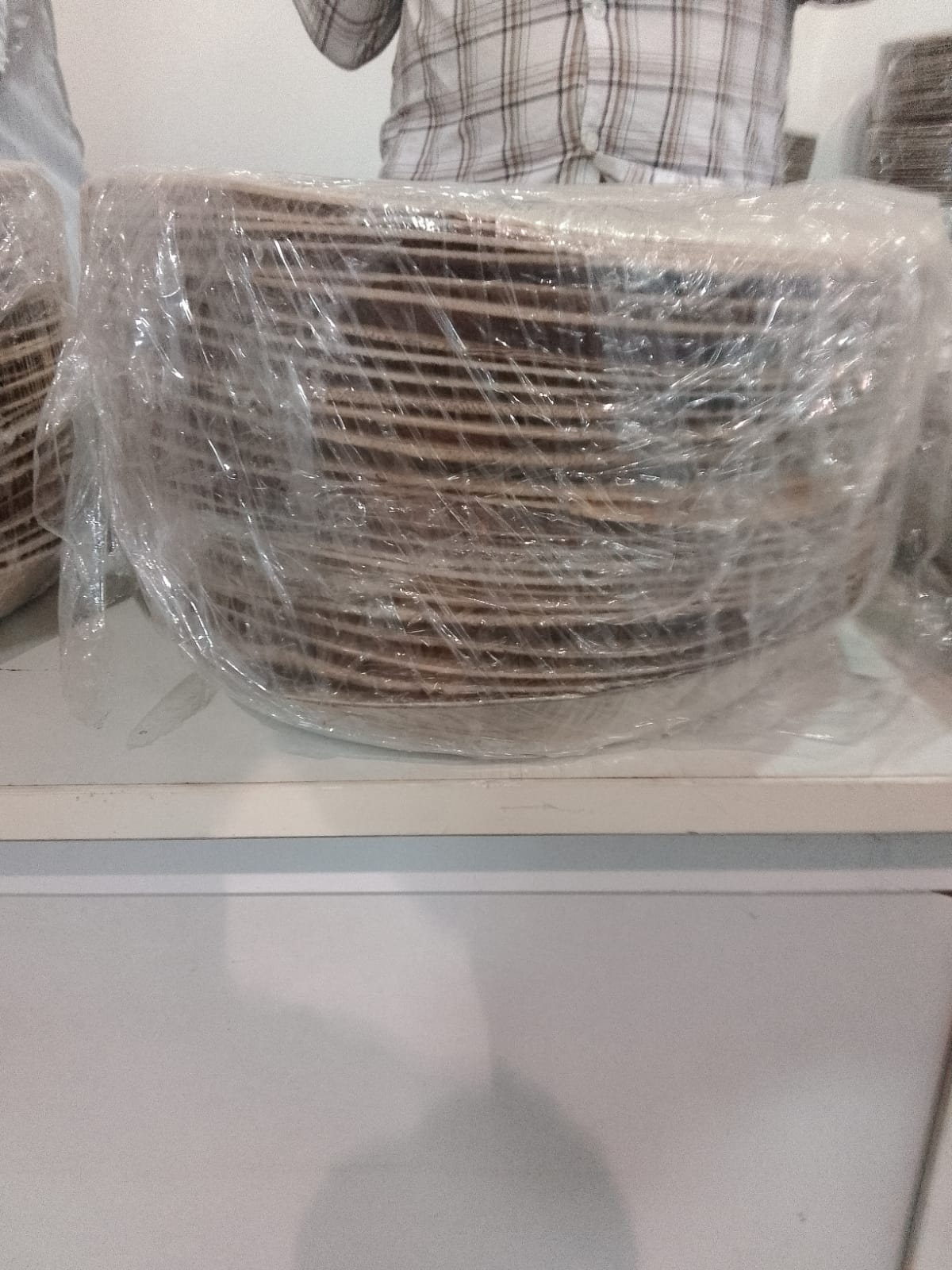 Arece Leaf Plate (10 inches)