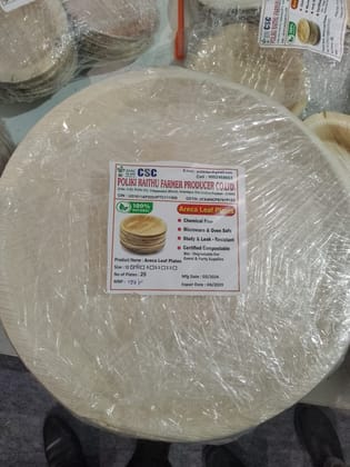 Areca leaf plate(12 inches) Areca leaf plate(12 inches)