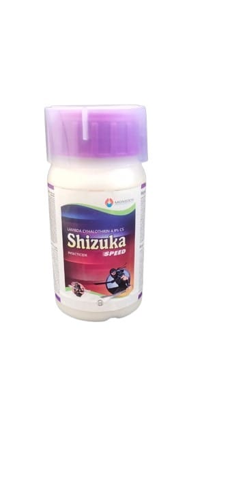 SHIZUKA