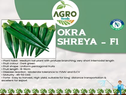 Agro Seeds Ladys Finger (Bhindi) 25 + Seeds Vegetable Seeds for Home Garden, 0rganic & Hybrid, Perfect for Home Gardening, Planting For Pots and Patio