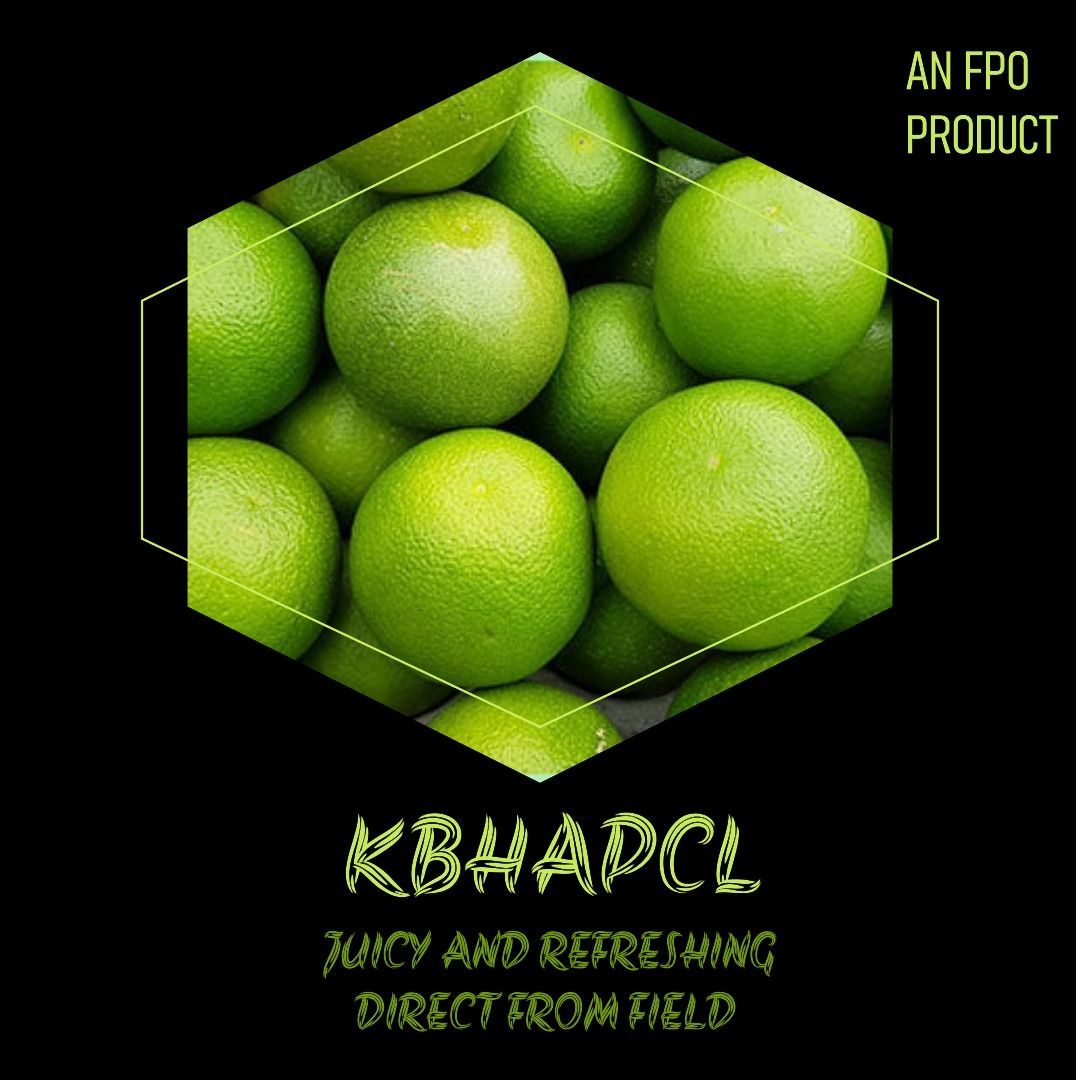 Fresh Green kinno  - Juicy and Refreshing Direct from Field"