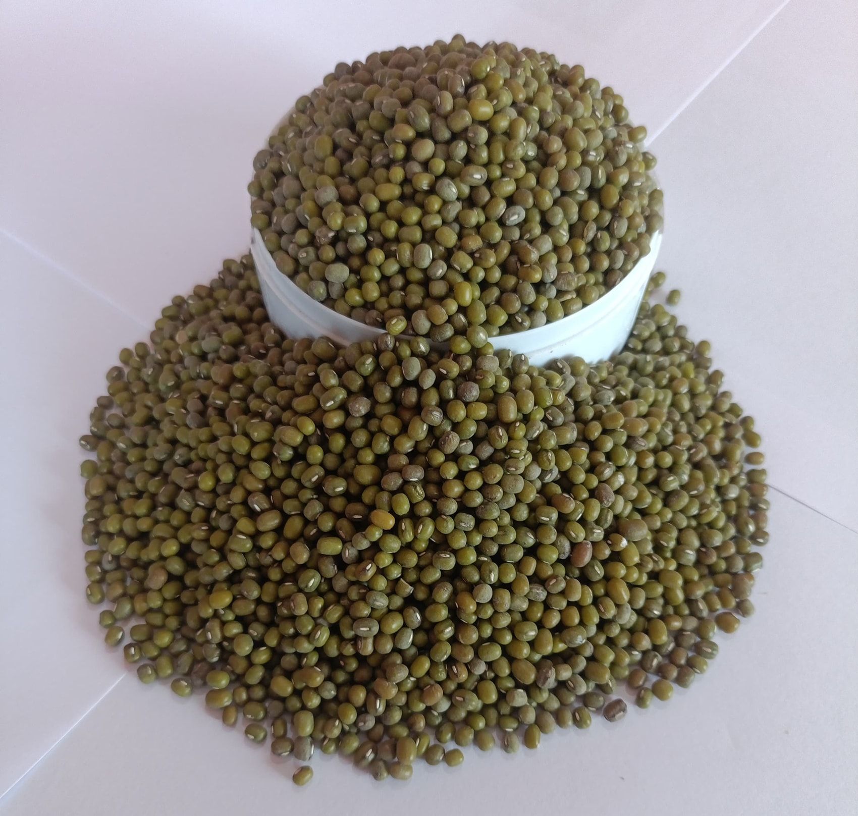 NSC GREENGRAM DGG  -1 SEEDS