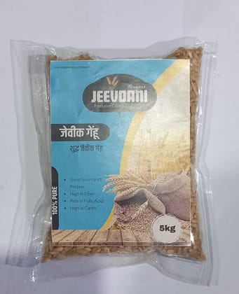 Research Jaivik Wheat Research Jaivik Wheat