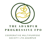 THE ADAMPUR PROGRESSIVE FPO COOPERATIVE MULTIPURPOSE SOCIETY LIMITED THE ADAMPUR PROGRESSIVE FPO COOPERATIVE MULTIPURPOSE SOCIETY LIMITED