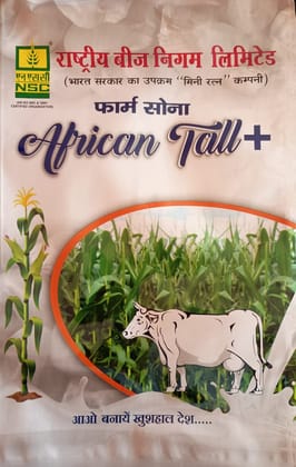 NSC Fodder Maize African Tall NSC Fodder Maize African Tall