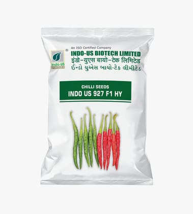 CHILLI SEEDS INDO US 927 F1 HY (10 GM) CHILLI SEEDS INDO US 927 F1 HY (10 GM)
