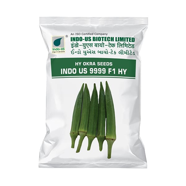 OKRA SEEDS INDO US 9999 F1 HY (250 GM)