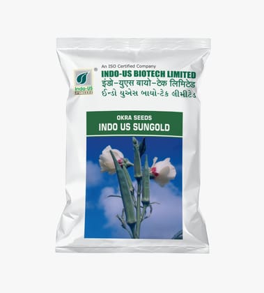 OKRA SEEDS INDO US SUNGOLD OP (500 GM) OKRA SEEDS INDO US SUNGOLD OP (500 GM)