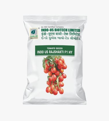 TOMATO SEEDS INDO US RAJSHAKTI F1 HY (10 GM) TOMATO SEEDS INDO US RAJSHAKTI F1 HY (10 GM)
