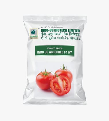 TOMATO SEEDS INDO US ABHISHREE F1 HY (10 GM) TOMATO SEEDS INDO US ABHISHREE F1 HY (10 GM)