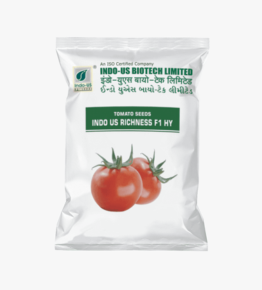 TOMATO SEEDS INDO US RICHNESS F1 HY (10 GM) TOMATO SEEDS INDO US RICHNESS F1 HY (10 GM)