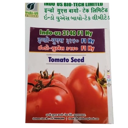 TOMATO SEEDS INDO US 3140 F1 HY (10 GM) TOMATO SEEDS INDO US 3140 F1 HY (10 GM)