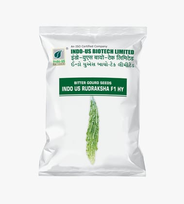 BITTER GOURD SEEDS INDO US RUDRAKSHA (50 GM) BITTER GOURD SEEDS INDO US RUDRAKSHA (50 GM)