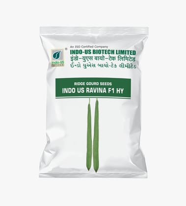 RIDGE GOURD SEEDS INDO US RAVINA F1 HY (50 GM) RIDGE GOURD SEEDS INDO US RAVINA F1 HY (50 GM)