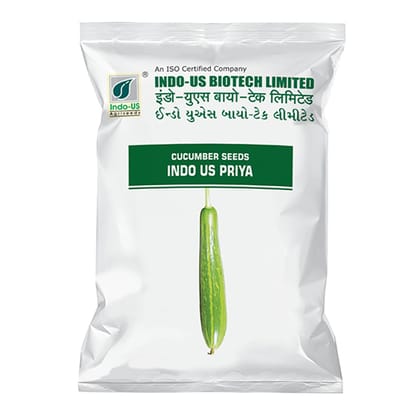 CUCUMBER SEEDS INDO US PRIYA OP (50 GM) CUCUMBER SEEDS INDO US PRIYA OP (50 GM)