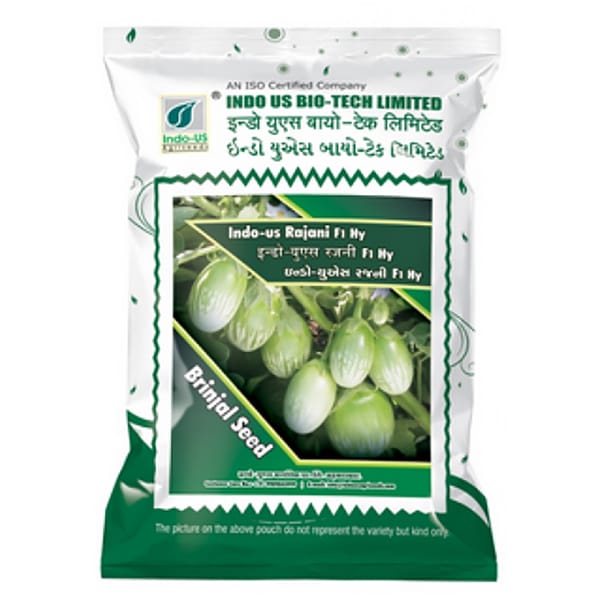 BRINJAL SEEDS INDO US RAJANI F1 HY (10 GM)