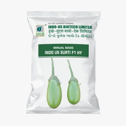 BRINJAL SEEDS INDO US SURATI F1 HY (10 GM) BRINJAL SEEDS INDO US SURATI F1 HY (10 GM)