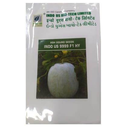 ASH GOURD SEEDS INDO US 9999 F1 HY (50 GM) ASH GOURD SEEDS INDO US 9999 F1 HY (50 GM)