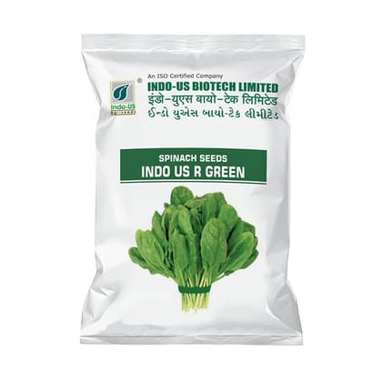 PALAK SEEDS INDO US R GREEN (500 GM) PALAK SEEDS INDO US R GREEN (500 GM)