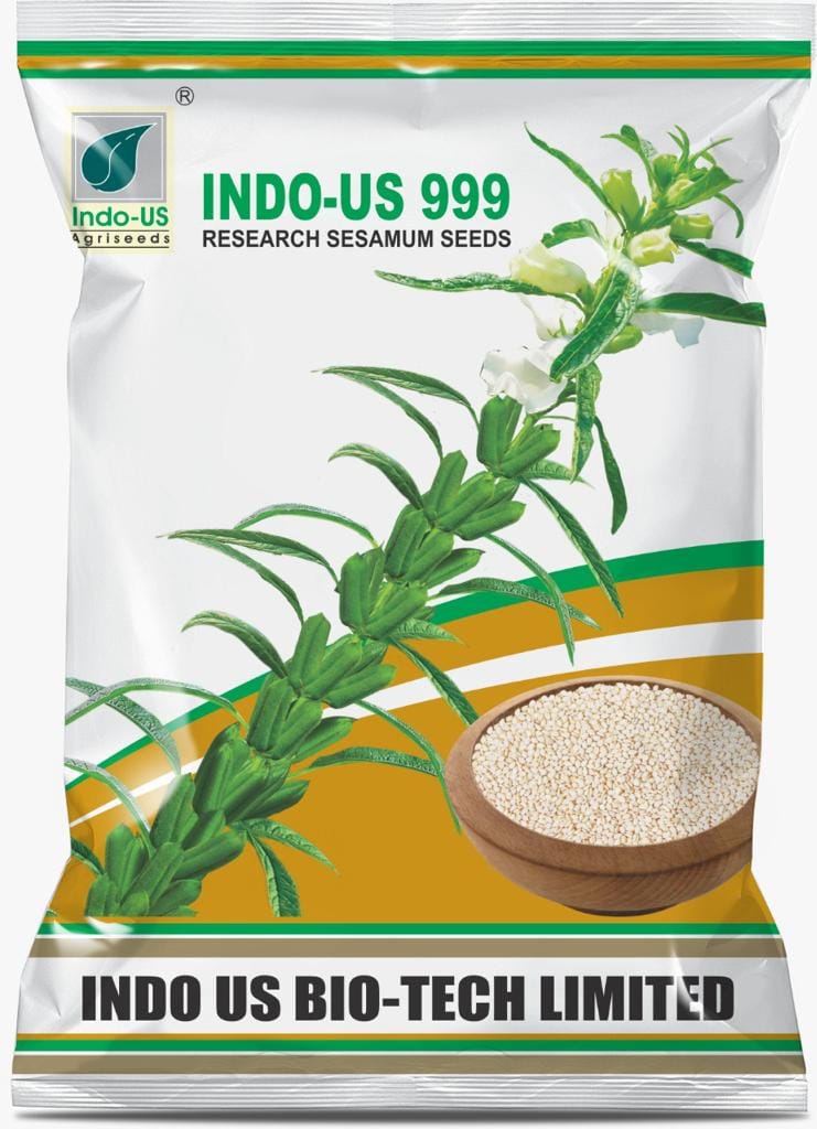 INDO-US 999 Sesamum Seeds