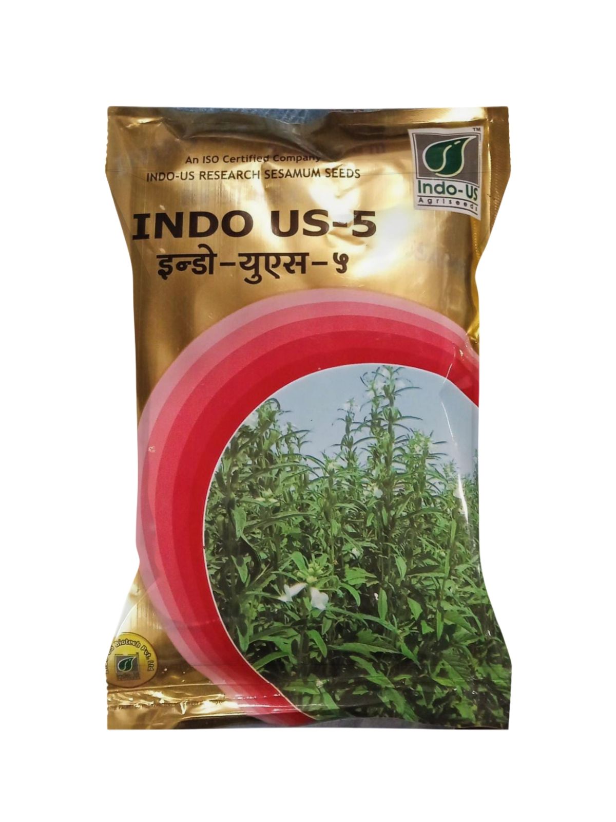 INDO US - 5 SESAMUM SEEDS