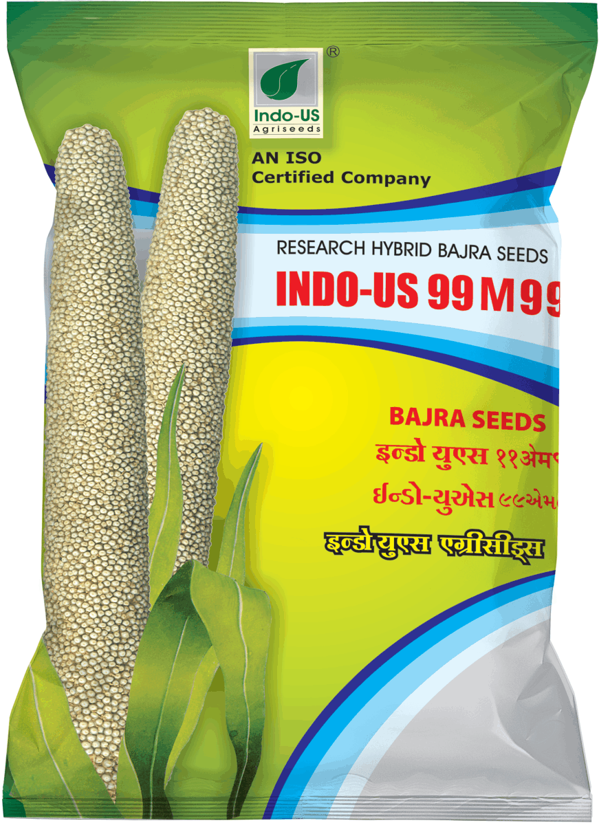 INDO-US 99 M99 Bajra Seeds