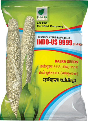 INDO-US 9999 Bajra Seeds INDO-US 9999 Bajra Seeds