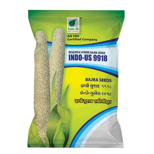 INDO-US 9918 Bajra Seeds