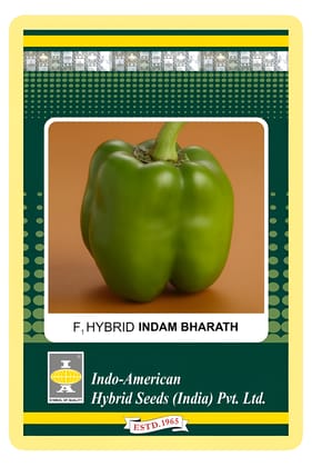 Capsicum Indam Bharath Hybrid Seeds - 25 SEEDS