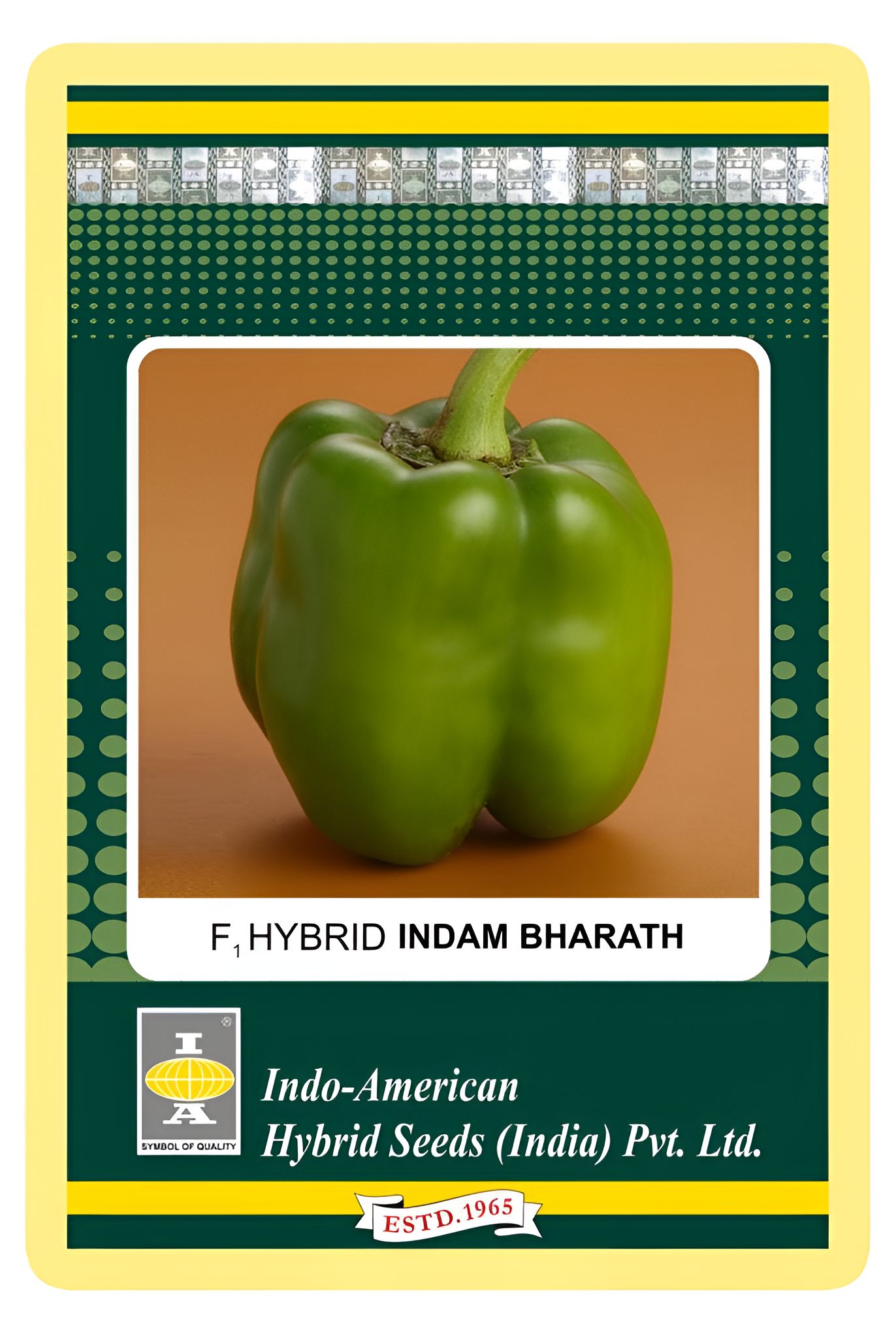 Capsicum Indam Bharath Hybrid Seeds - 25 SEEDS