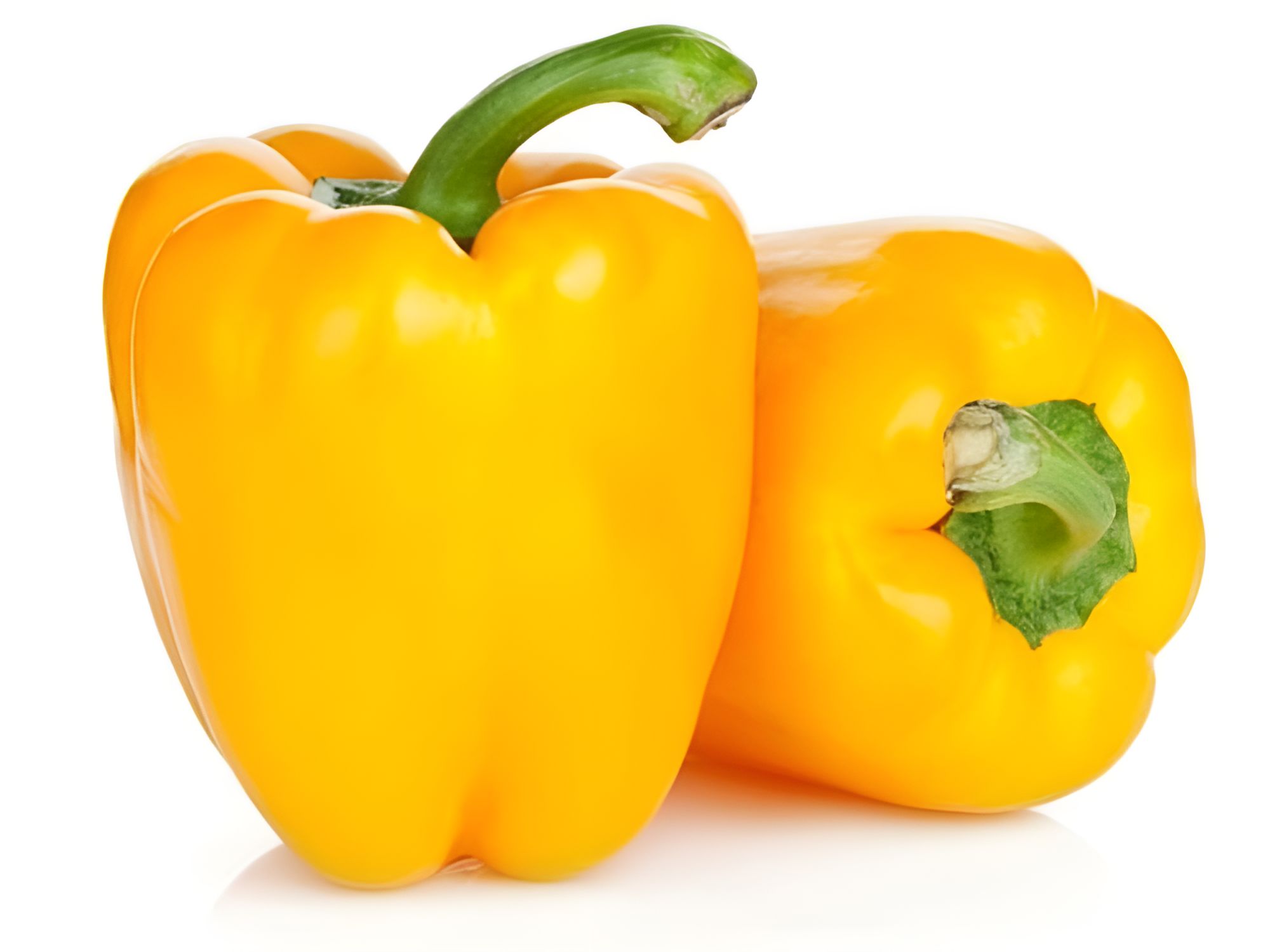 CAPSICUM INDAM SUPER GOLD HYBRID SEEDS - 25 SEEDS