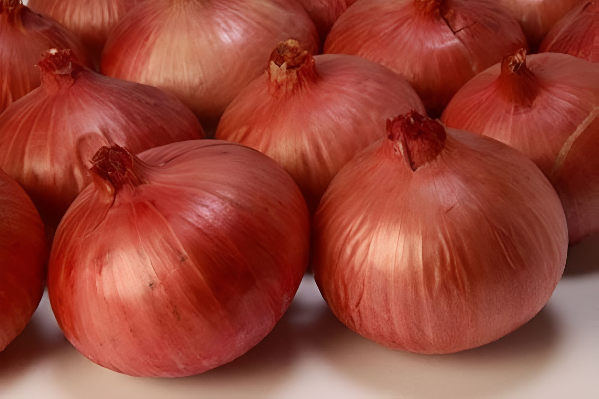 ONION INDAM-4 HYBRID SEEDS - 100 SEEDS